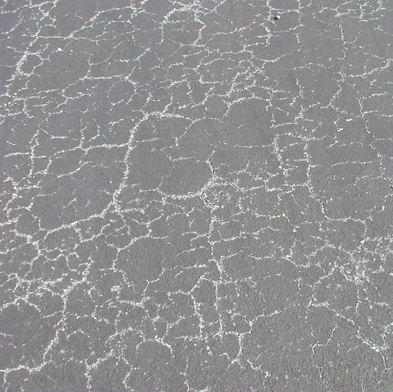 first section image